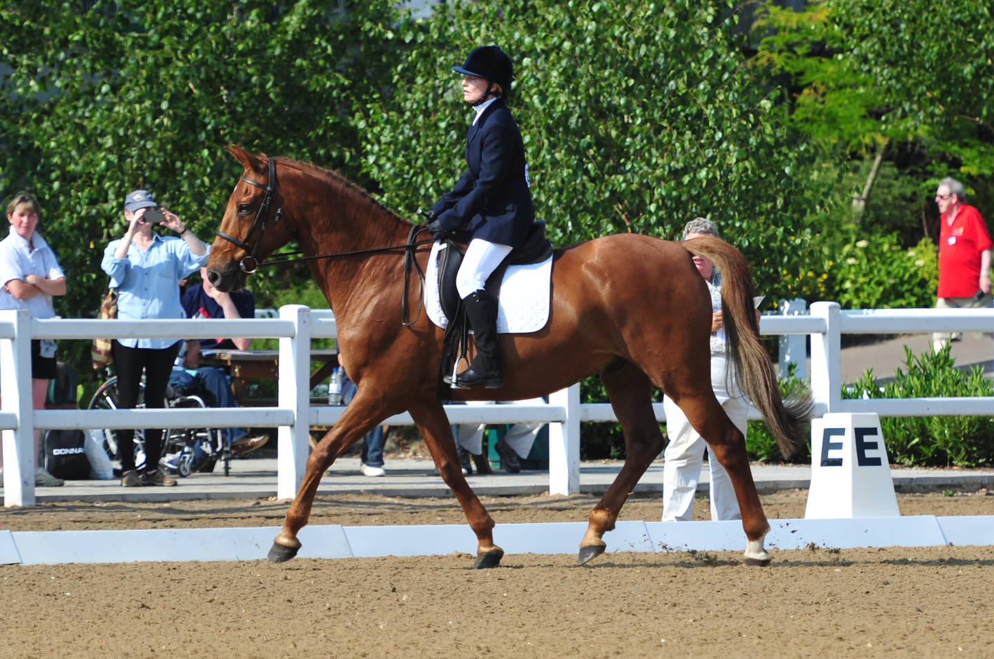 Grassroots Games 2016 Equestrianism Activity Alliance