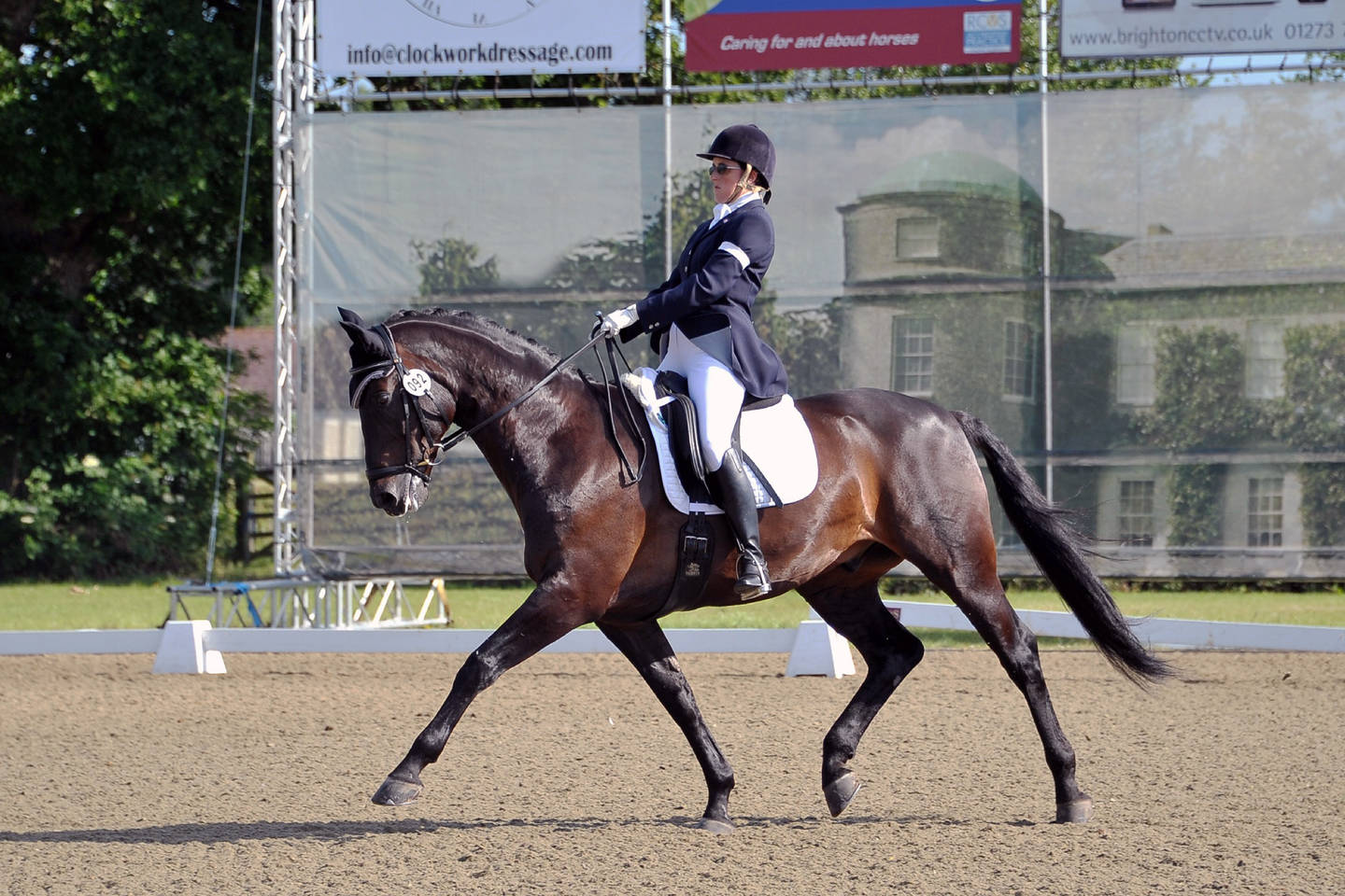 Image shows Nicky Greenhill GB para-dressage rider riding horse Gregorian Chant