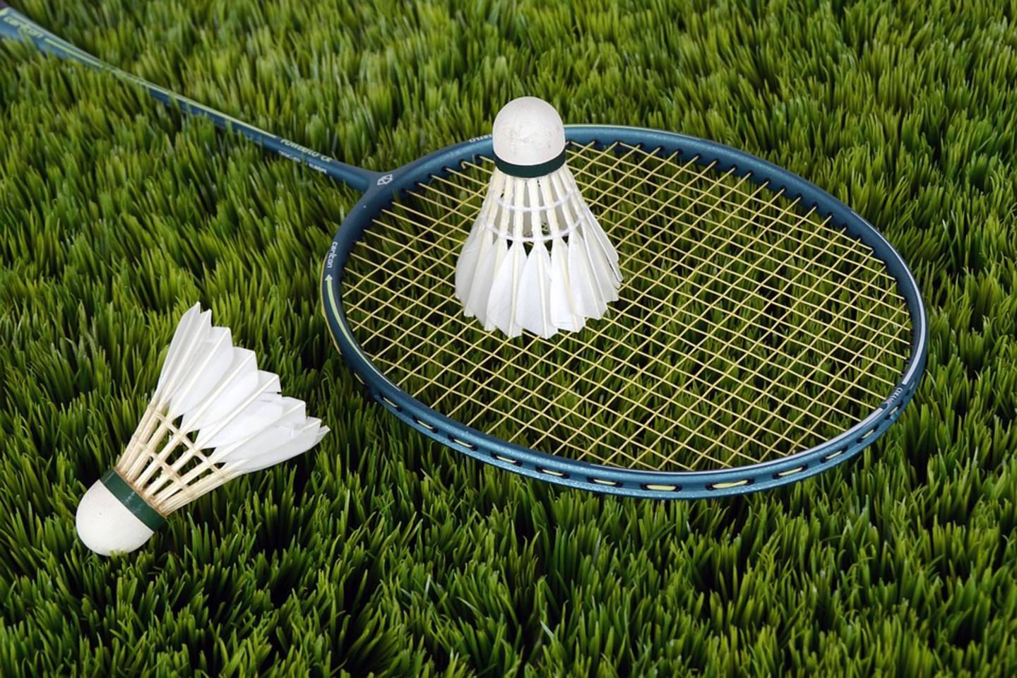 Badminton racket and shuttlecock