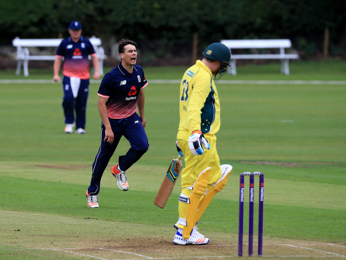 Taylor Young celebrates the wicket of Brett Wilson