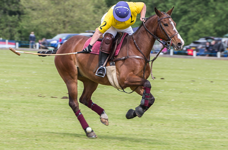 Elaine Corner playing polo