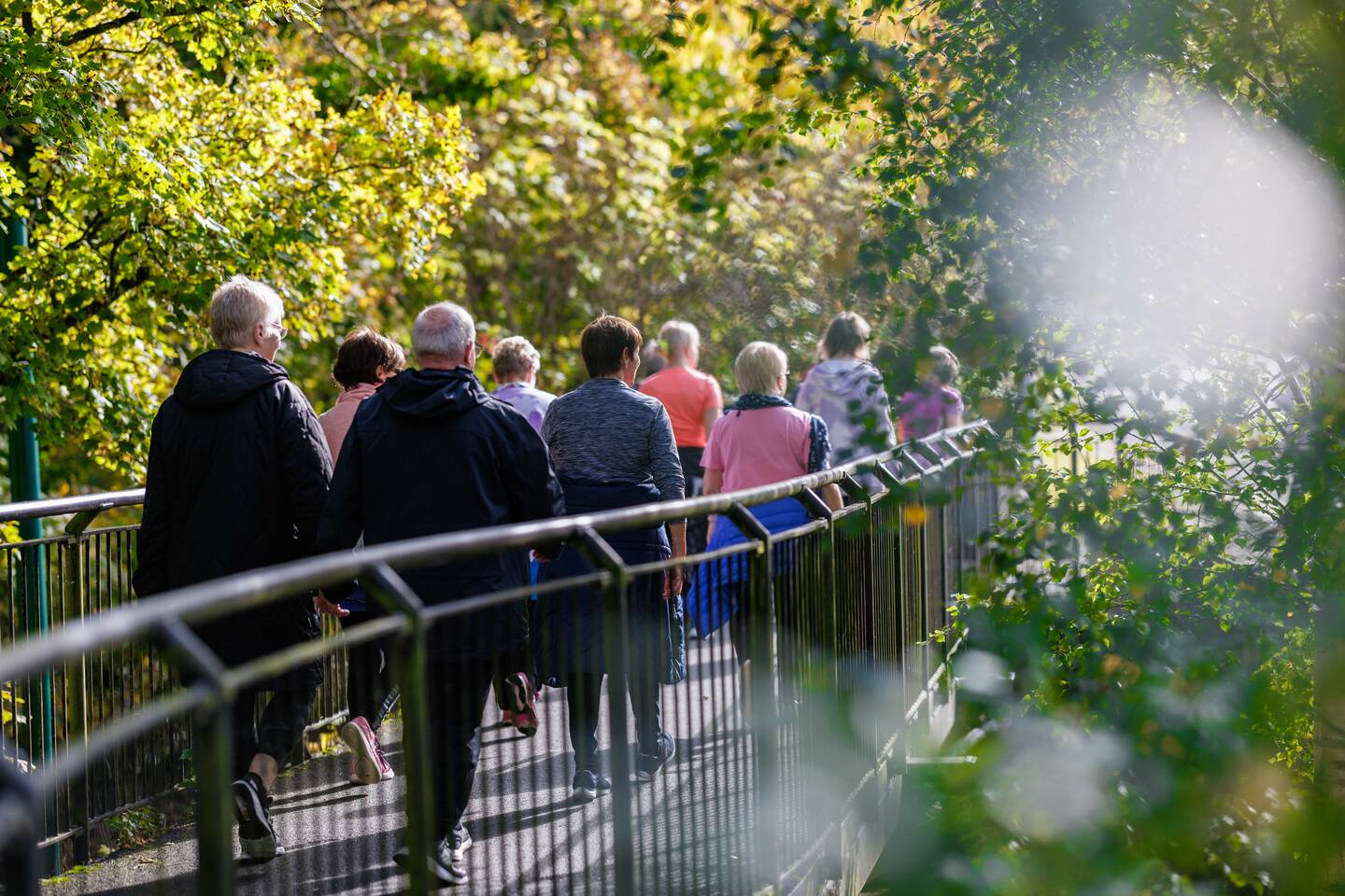 A group walks over a bridge in a park.