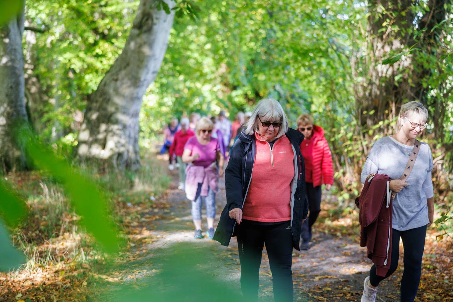 A group of older people walk in a park.